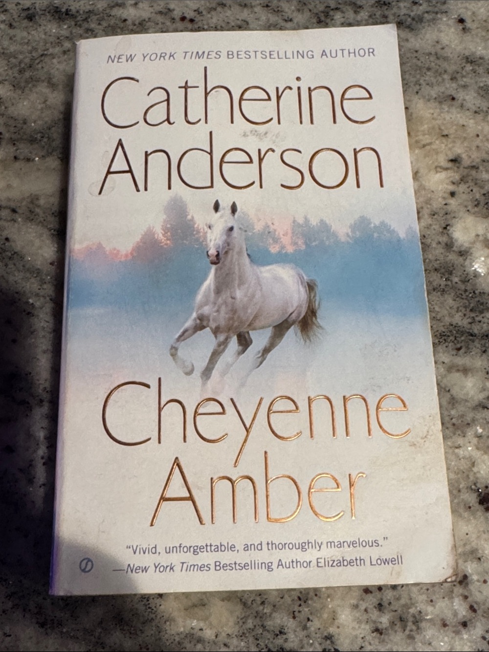 Cheyenne Amber. By Catherine Anderson